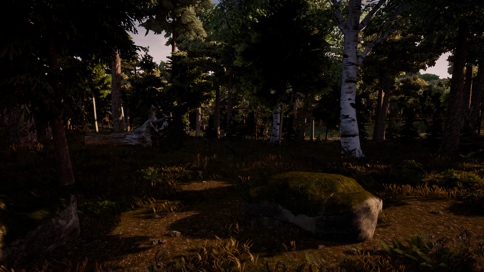 Community Update #1